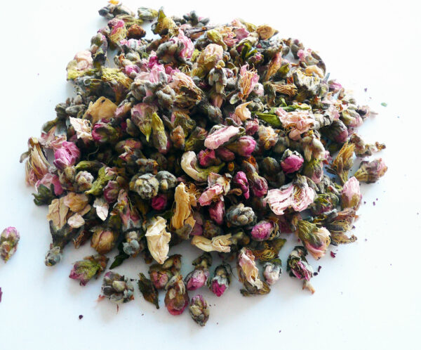 Persikoblomma