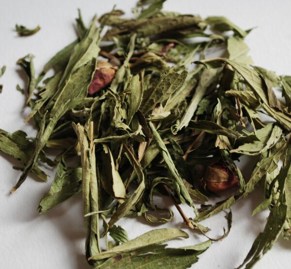 Stevia
